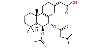 6b-Acetoxy-7a-isovaleroxylabda-8,13-dien-15-oic acid